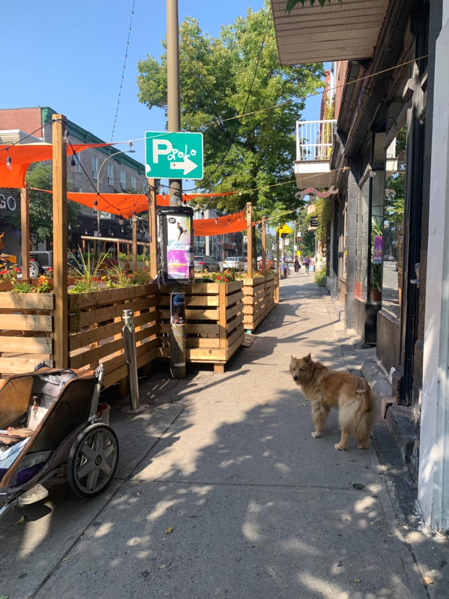 Pensione Popolo Montréal Exterior foto